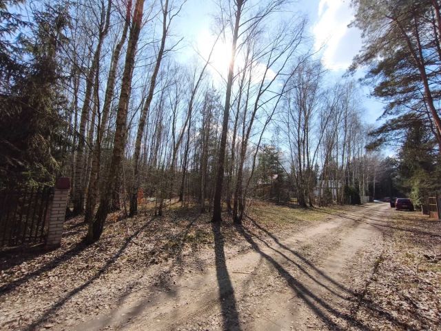 Działka Cyprianów. Zdjęcie 1