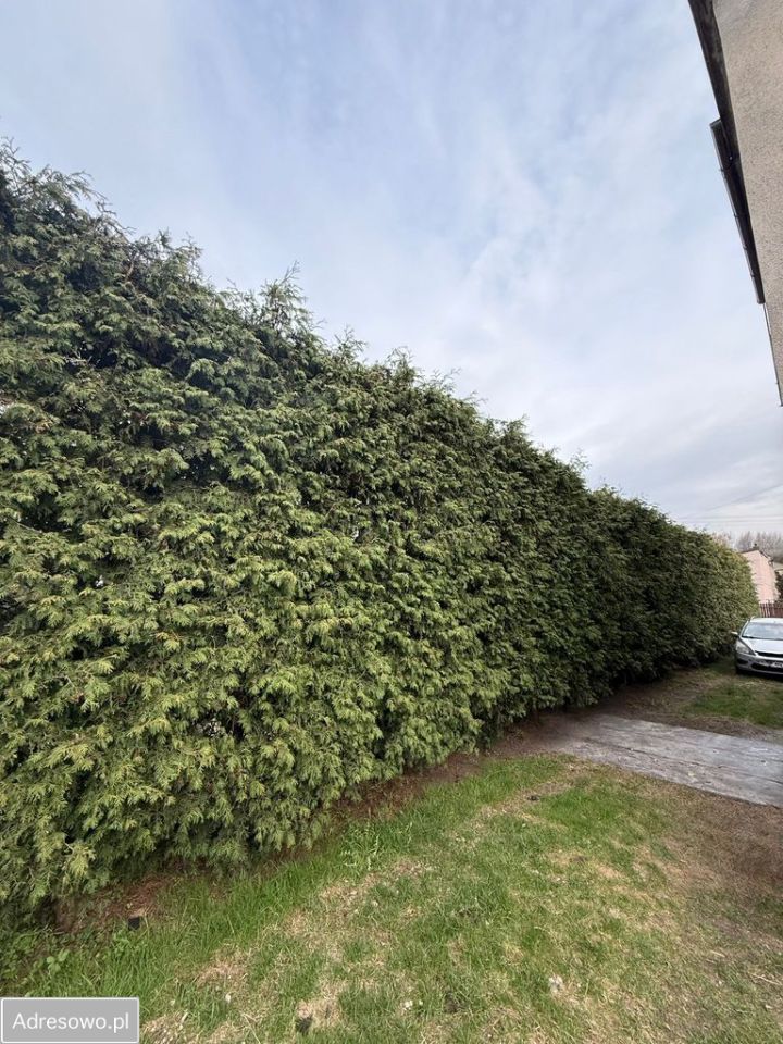 dom wolnostojący, 9 pokoi Dąbrowa Górnicza Tucznawa, ul. Ludwika Idzikowskiego. Zdjęcie 16