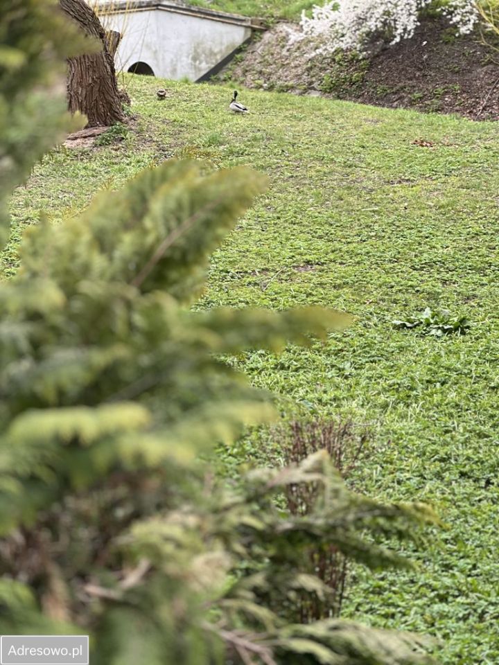 Mieszkanie 2-pokojowe Gdynia Cisowa, ul. Kcyńska. Zdjęcie 4