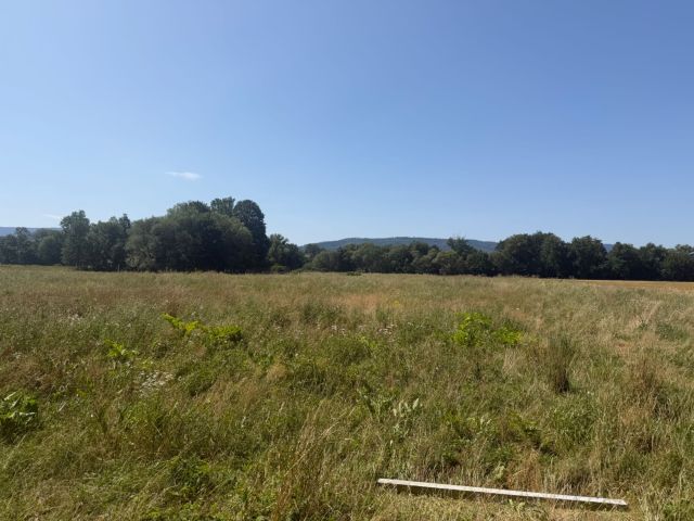 Działka rolna Stary Waliszów. Zdjęcie 1