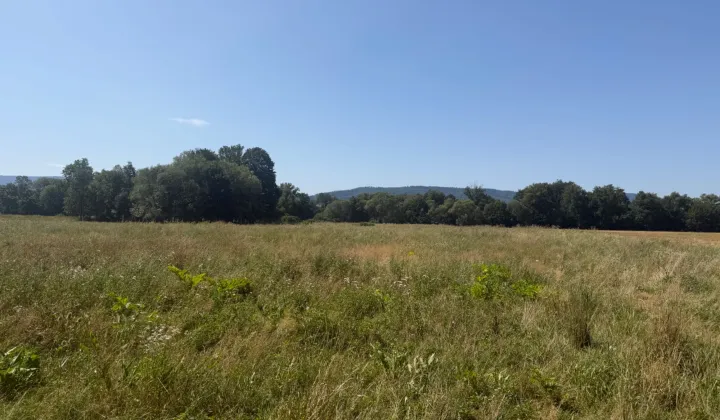 Działka rolna Stary Waliszów