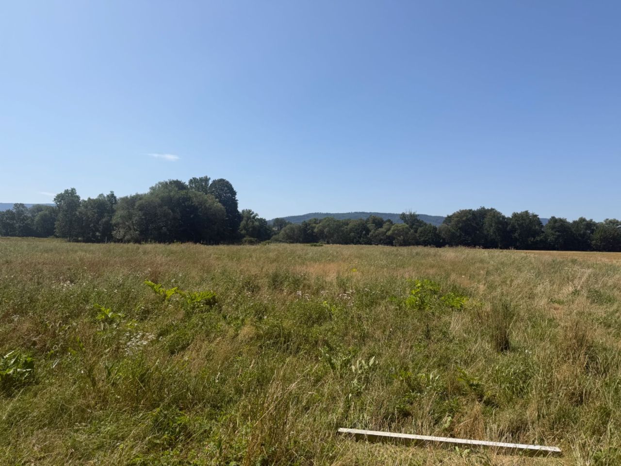 Działka rolna Stary Waliszów. Zdjęcie 1