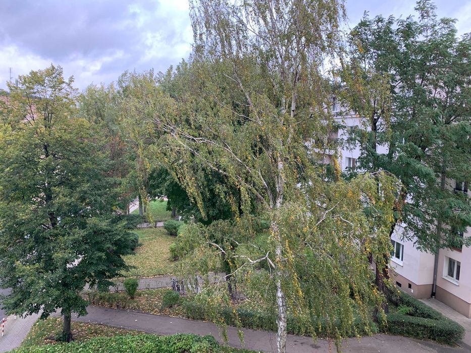 Mieszkanie 1-pokojowe Poznań Ogrody. Zdjęcie 3
