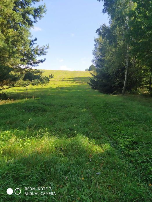 Działka rolno-budowlana Żegary. Zdjęcie 1