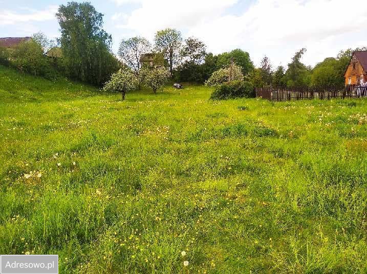 Działka budowlana Raczki. Zdjęcie 6