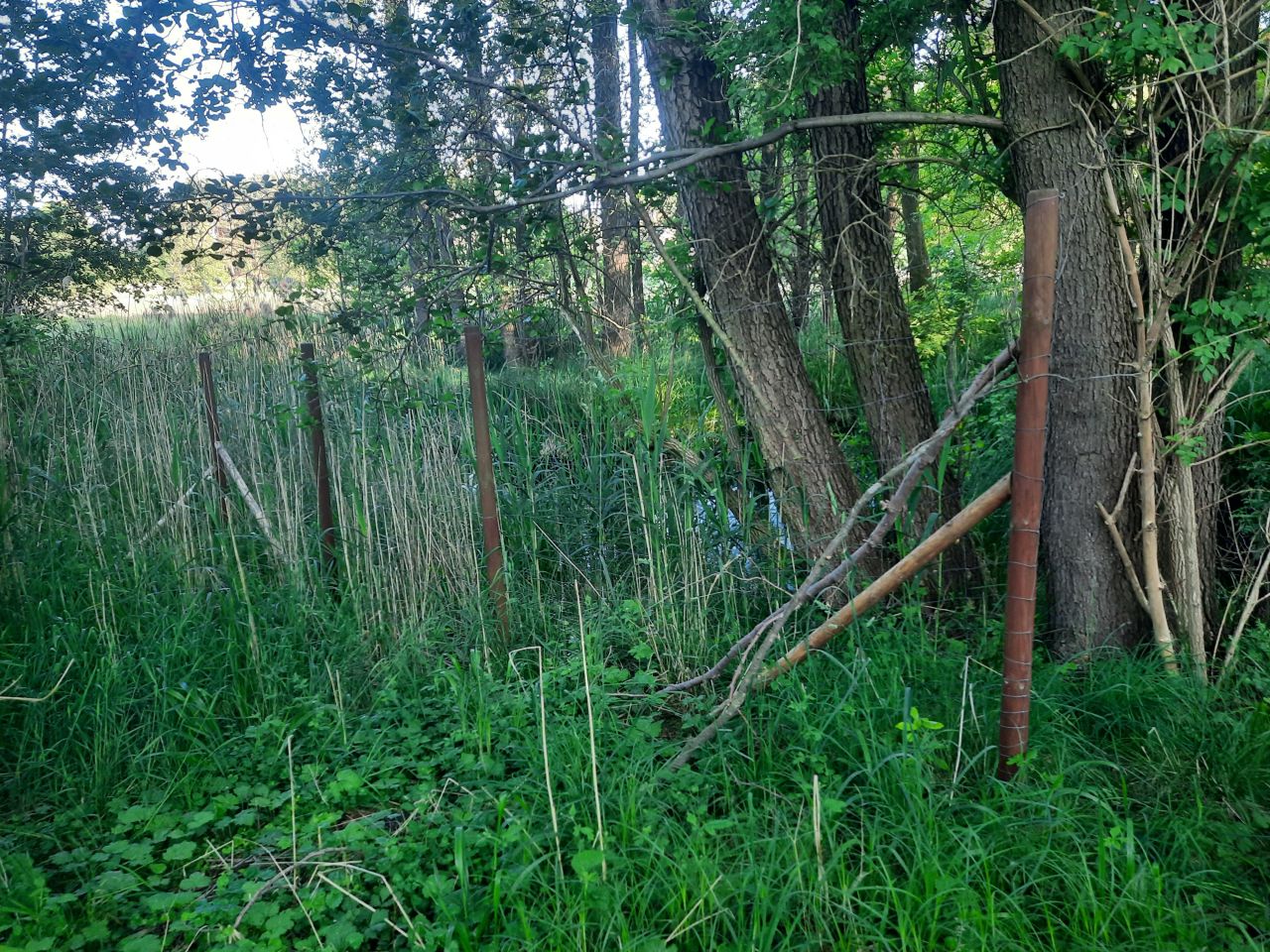 Działka rekreacyjna Minikowo. Zdjęcie 17