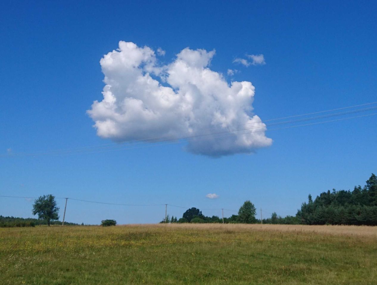 Działka budowlana Jabłonna