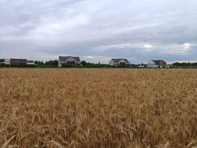 Działka inwestycyjna Ostrów Wielkopolski, ul. Topolowa. Zdjęcie 1