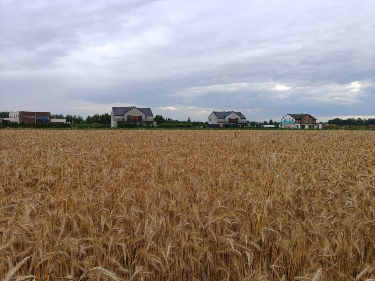 Działka inwestycyjna Ostrów Wielkopolski, ul. Topolowa