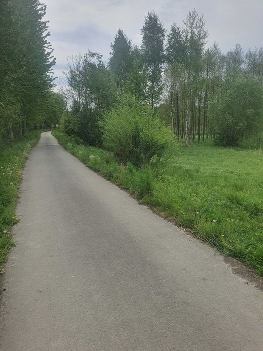 Działka leśna Dynów. Zdjęcie 8