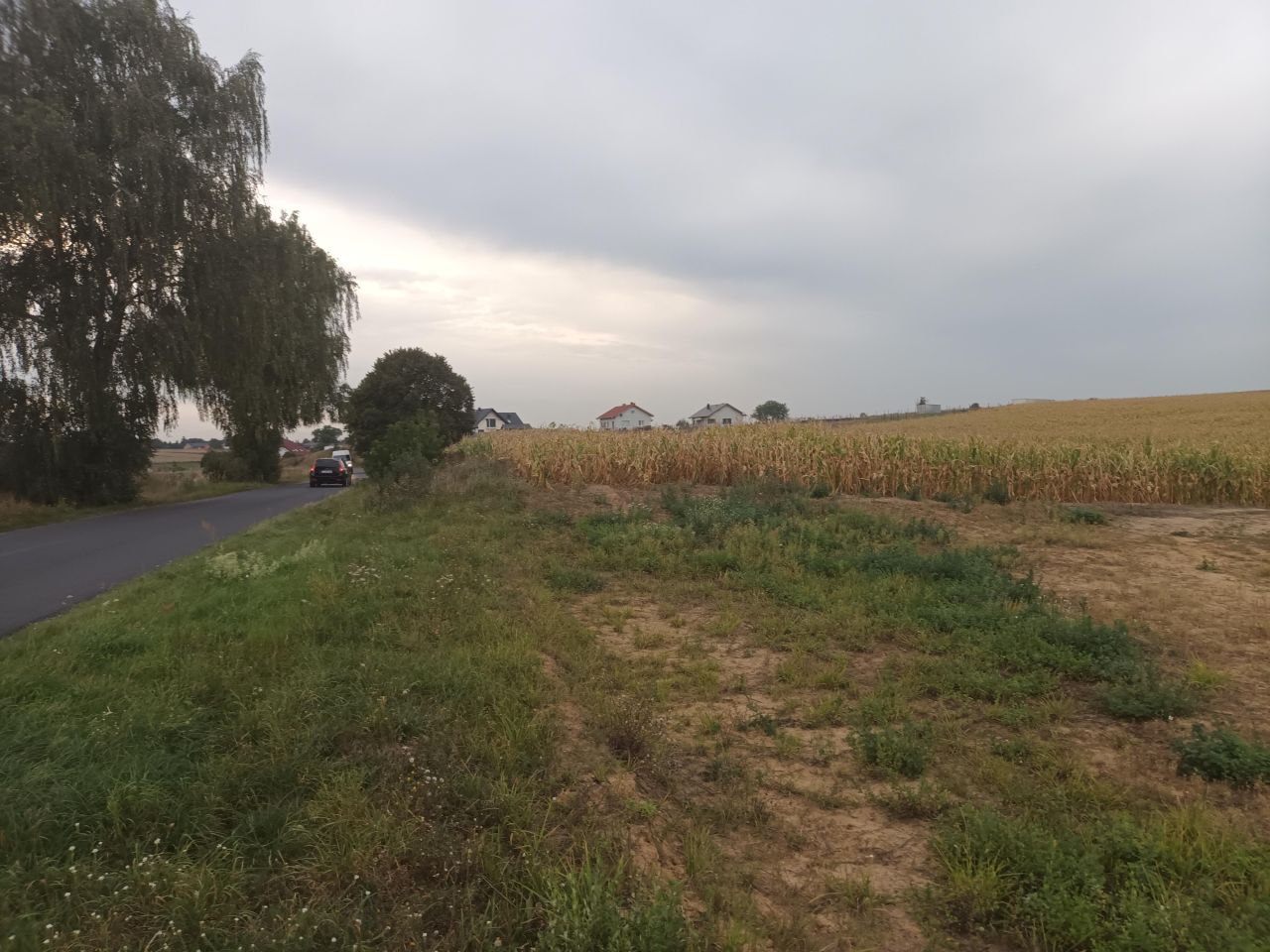 Działka inwestycyjna Strzyżewo Kościelne, os. Osiedle Nad Wełną. Zdjęcie 9