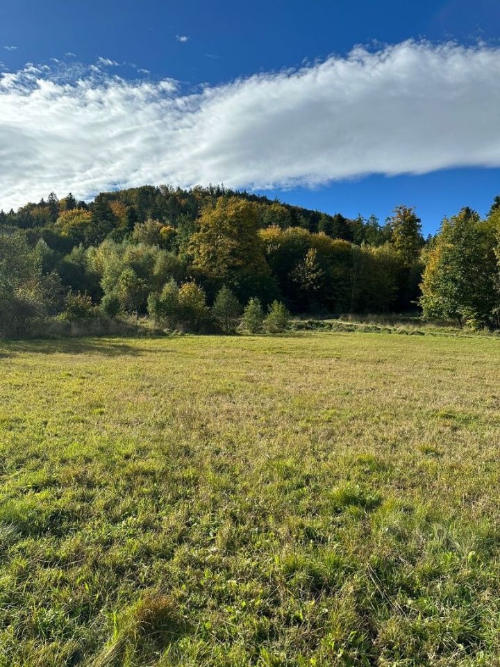 Działka rolno-budowlana Szczawina. Zdjęcie 9