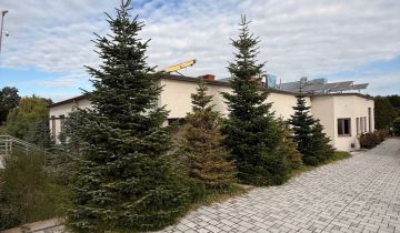 Nieruchomość komercyjna Skierniewice