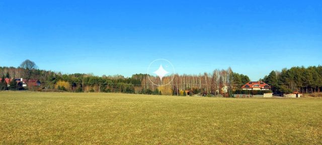 Działka rolna Marcinkowo. Zdjęcie 3