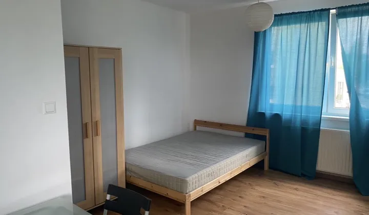 Mieszkanie 1-pokojowe Poznań Winogrady, ul. Serbska