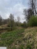 Działka leśna Jastrząb. Zdjęcie 3
