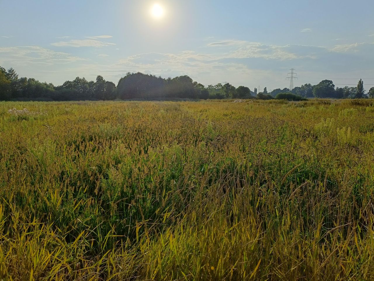 Działka rolna Drogomyśl Dębina, Dębina, Słoneczna. Zdjęcie 9