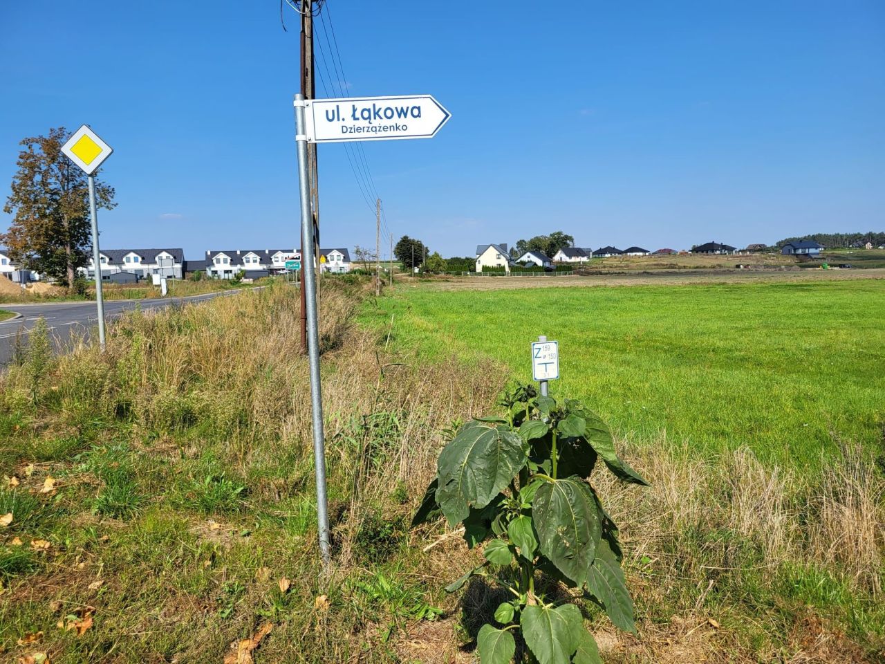 Działka budowlana Dzierzążenko. Zdjęcie 6