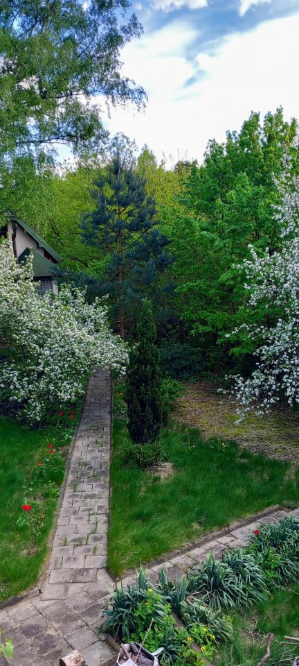 dom wolnostojący, 5 pokoi Otwock Świder, ul. Pogodna. Zdjęcie 32