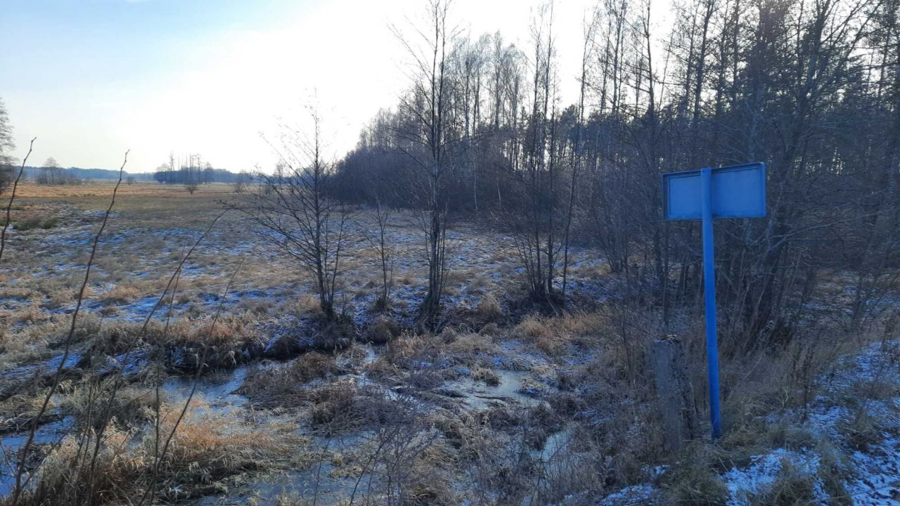 Działka rolna Stupniki. Zdjęcie 2