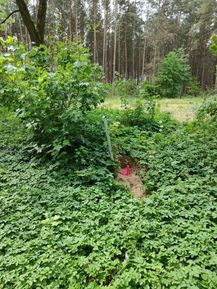 Działka budowlana Osieczna. Zdjęcie 4