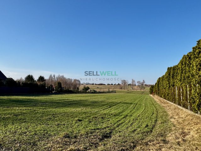 dom wolnostojący, 5 pokoi Aleksandrów Łódzki, ul. Wdzięczna. Zdjęcie 13