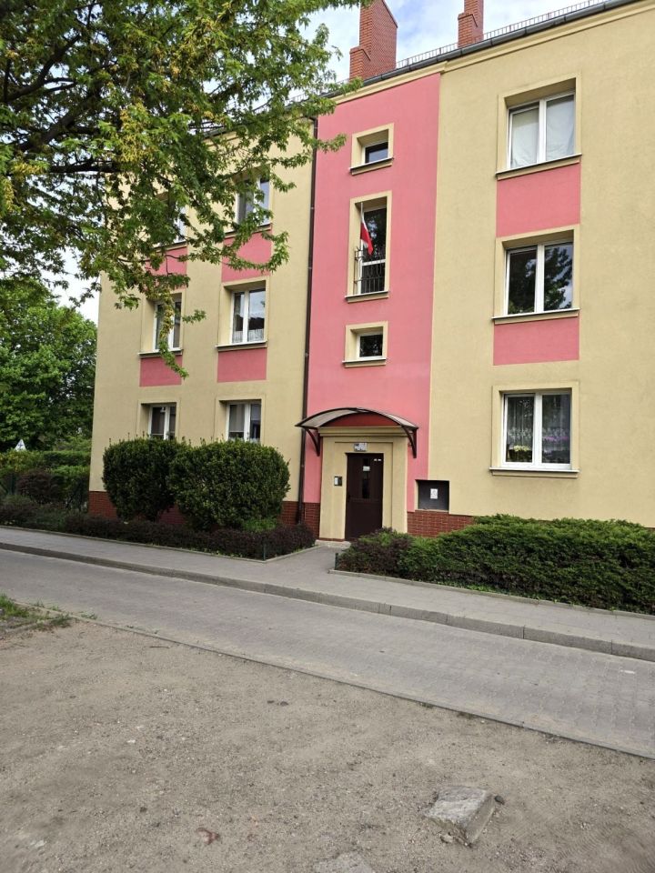 Mieszkanie 2-pokojowe Poznań Golęcin, ul. Wojska Polskiego. Zdjęcie 4