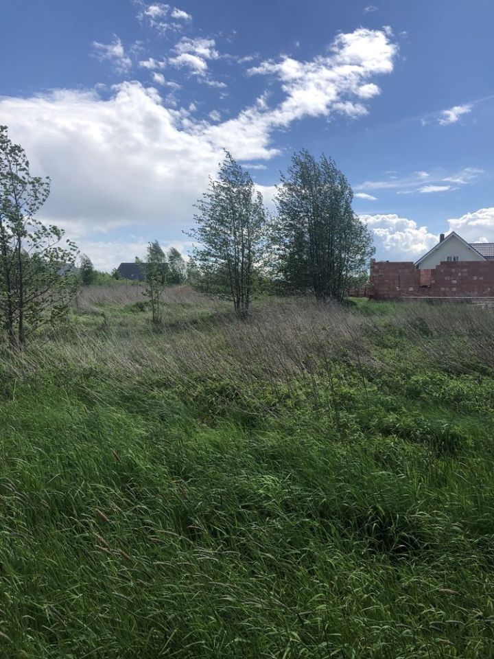 Działka budowlana Gałów, ul. Cedrowa. Zdjęcie 8