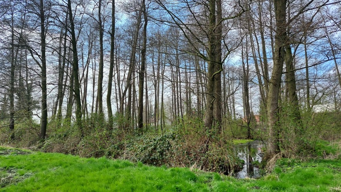 Działka Michałowice. Zdjęcie 3