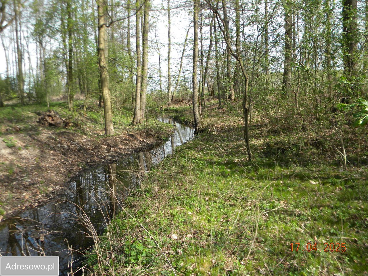 Działka rolna Nowy Dworek. Zdjęcie 8