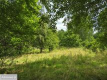 dom wolnostojący Słubica Dobra. Zdjęcie 3