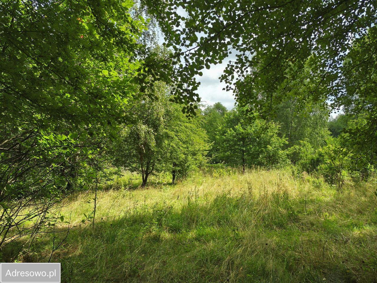 dom wolnostojący Słubica Dobra. Zdjęcie 4