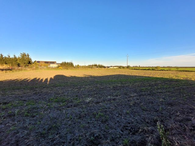 Działka budowlana Dzierzążenko. Zdjęcie 9