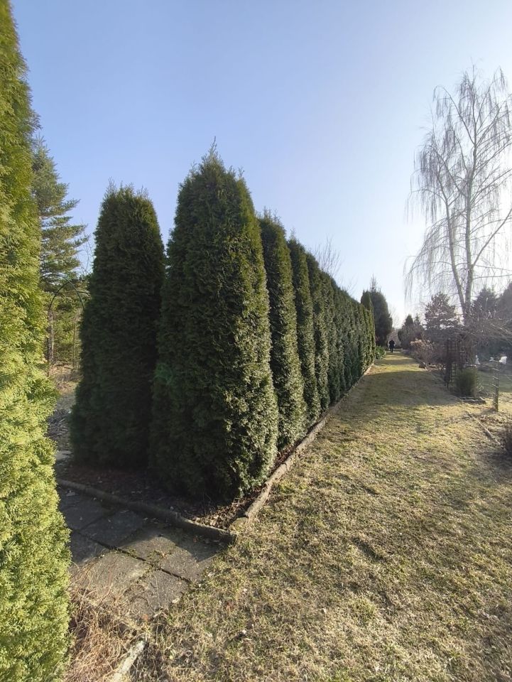 Działka rod Dąbrowica. Zdjęcie 11