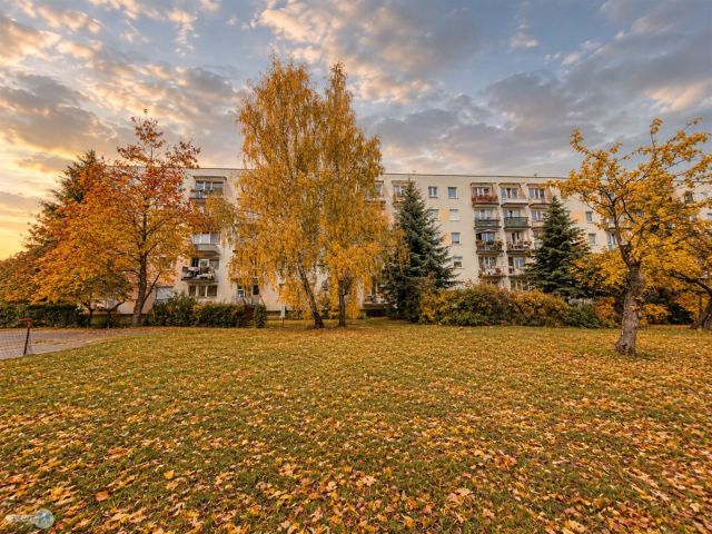 Mieszkanie 3-pokojowe Kielce KSM, ul. Wielkopolska. Zdjęcie 12