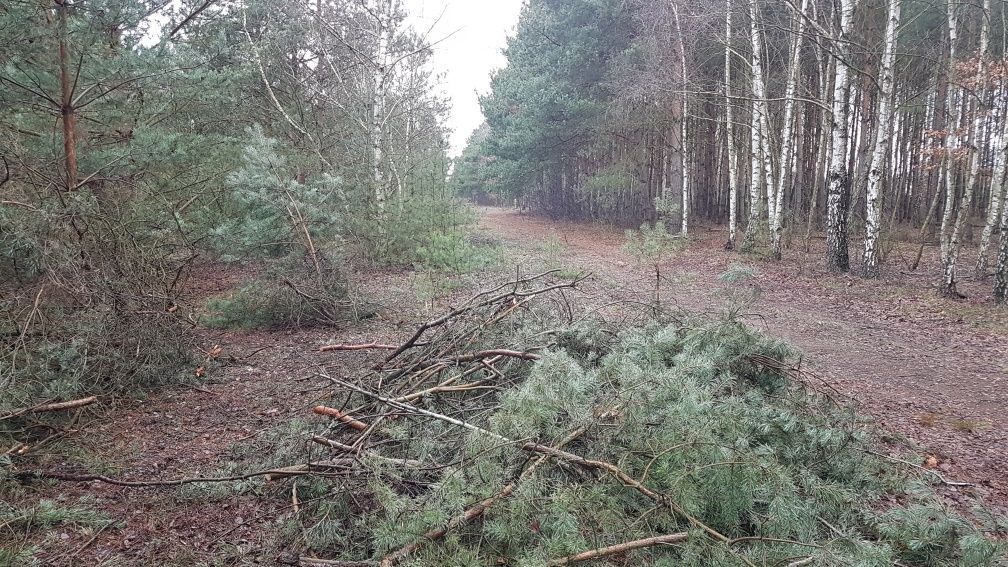 Działka rolno-budowlana Głodowo. Zdjęcie 8