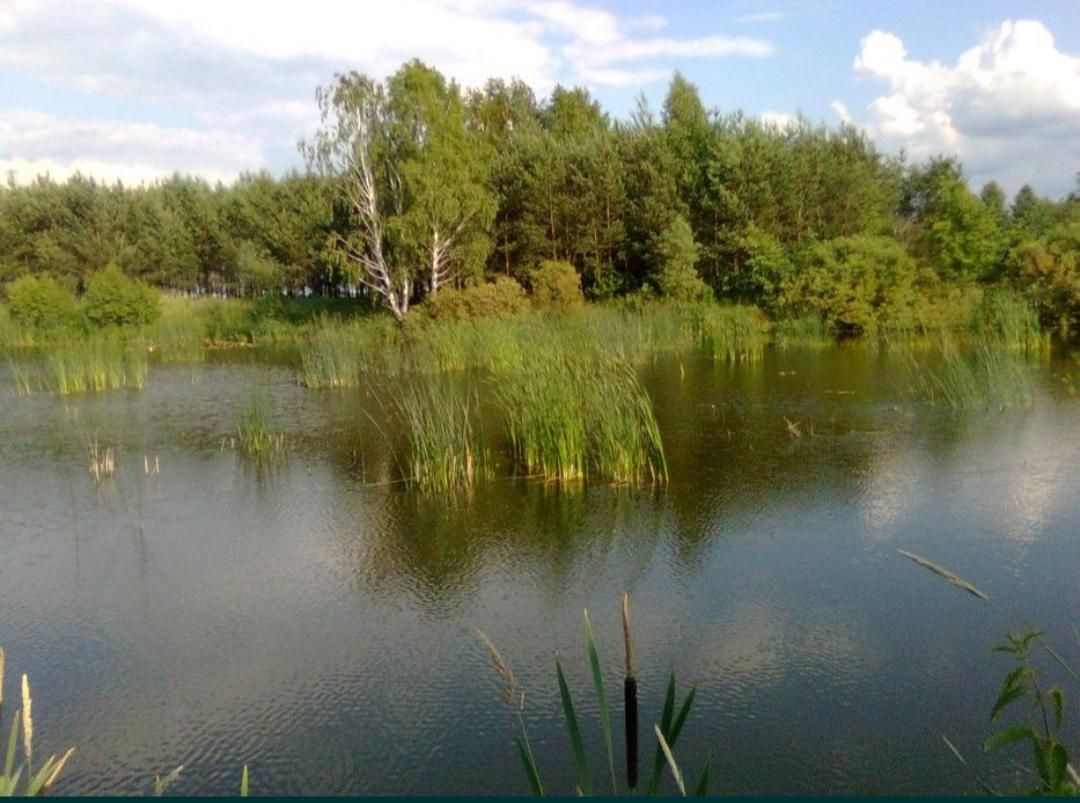 Hotel/pensjonat Zawidz Kościelny, ul. Warszawska. Zdjęcie 6