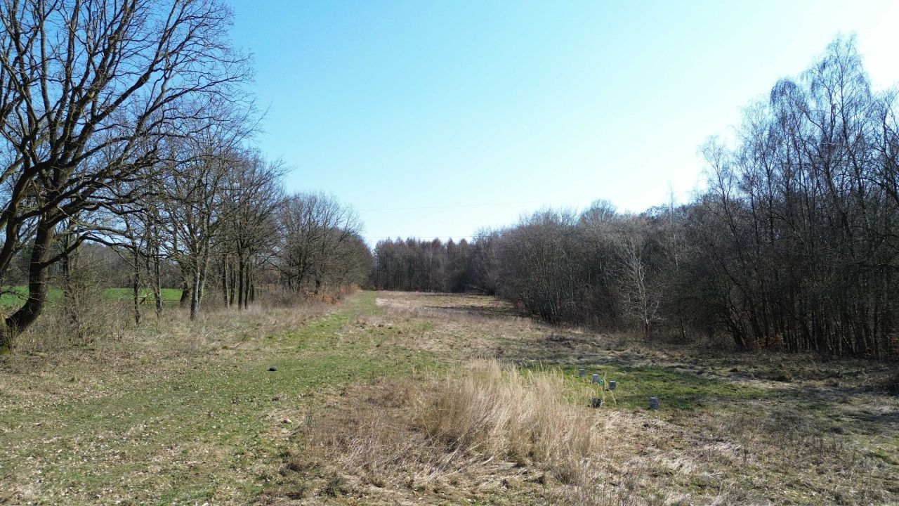 Działka rolna Kołowo. Zdjęcie 2