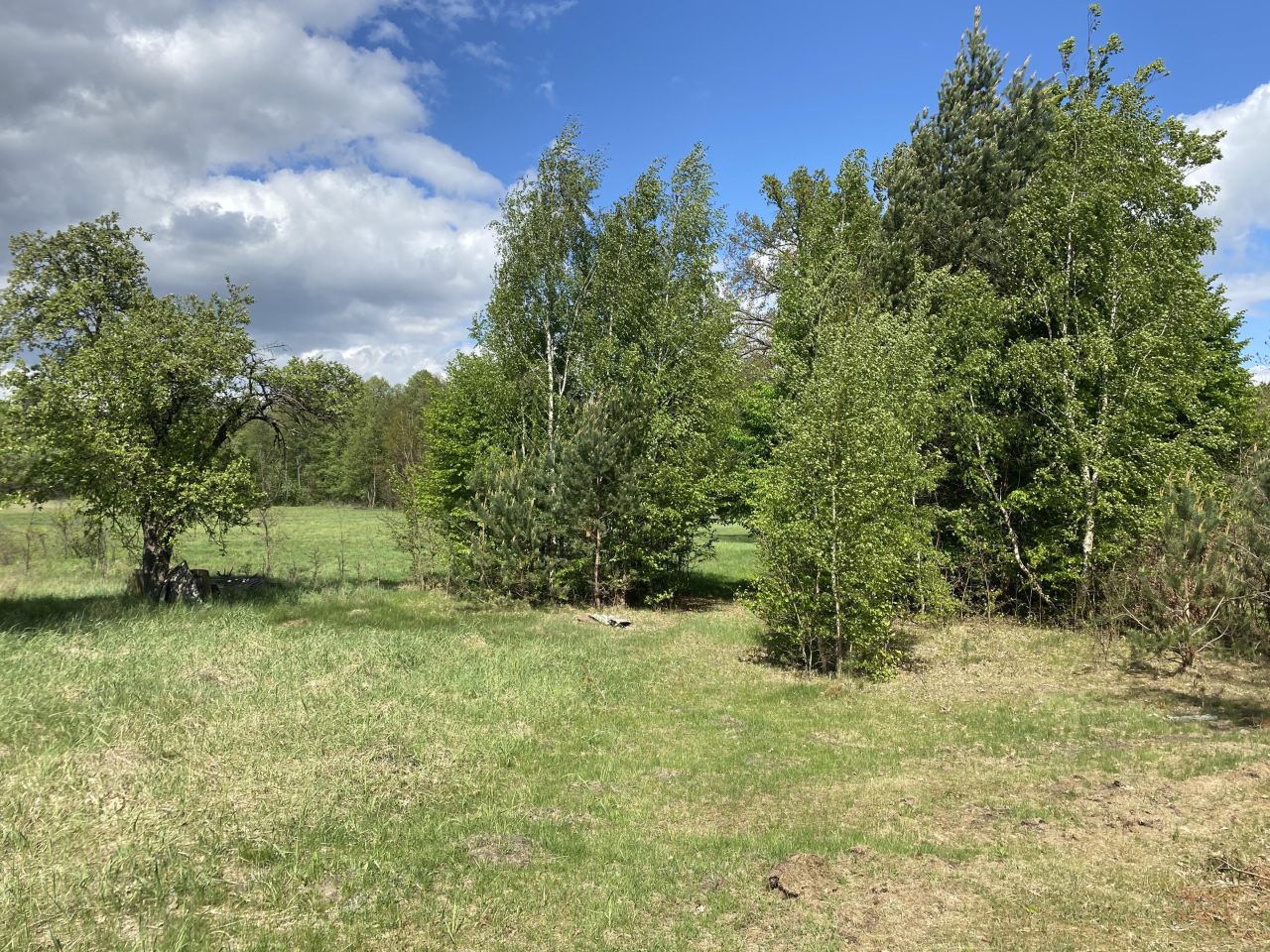 Działka siedliskowa Radziwiłka. Zdjęcie 7