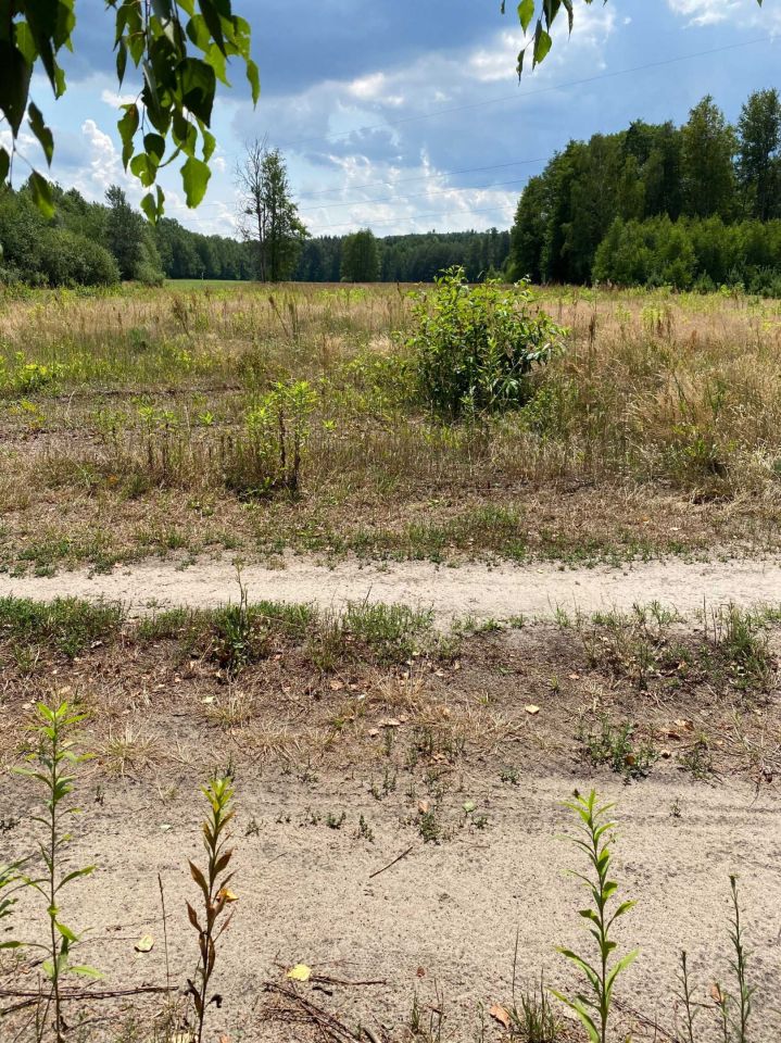 Działka rolno-budowlana Kawęczyn. Zdjęcie 3