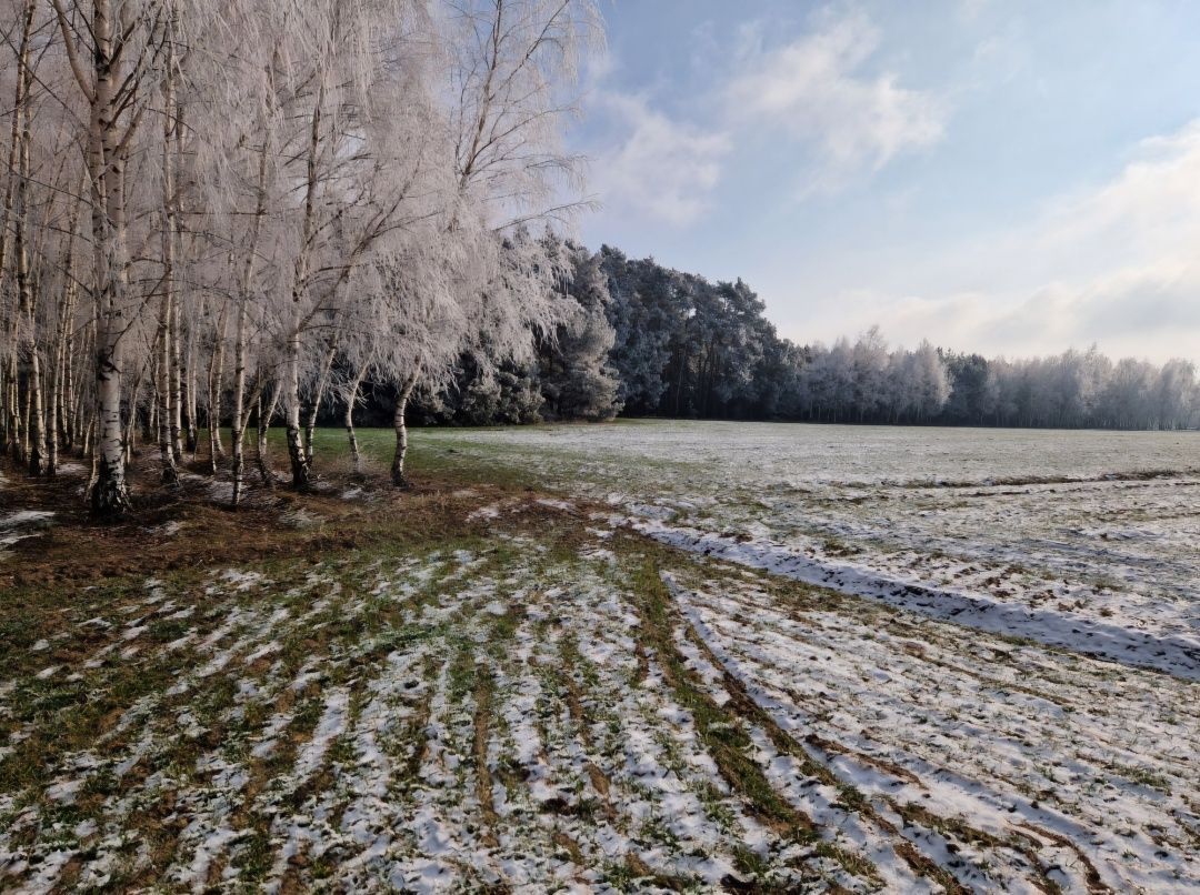 Działka budowlana Chynowa. Zdjęcie 6
