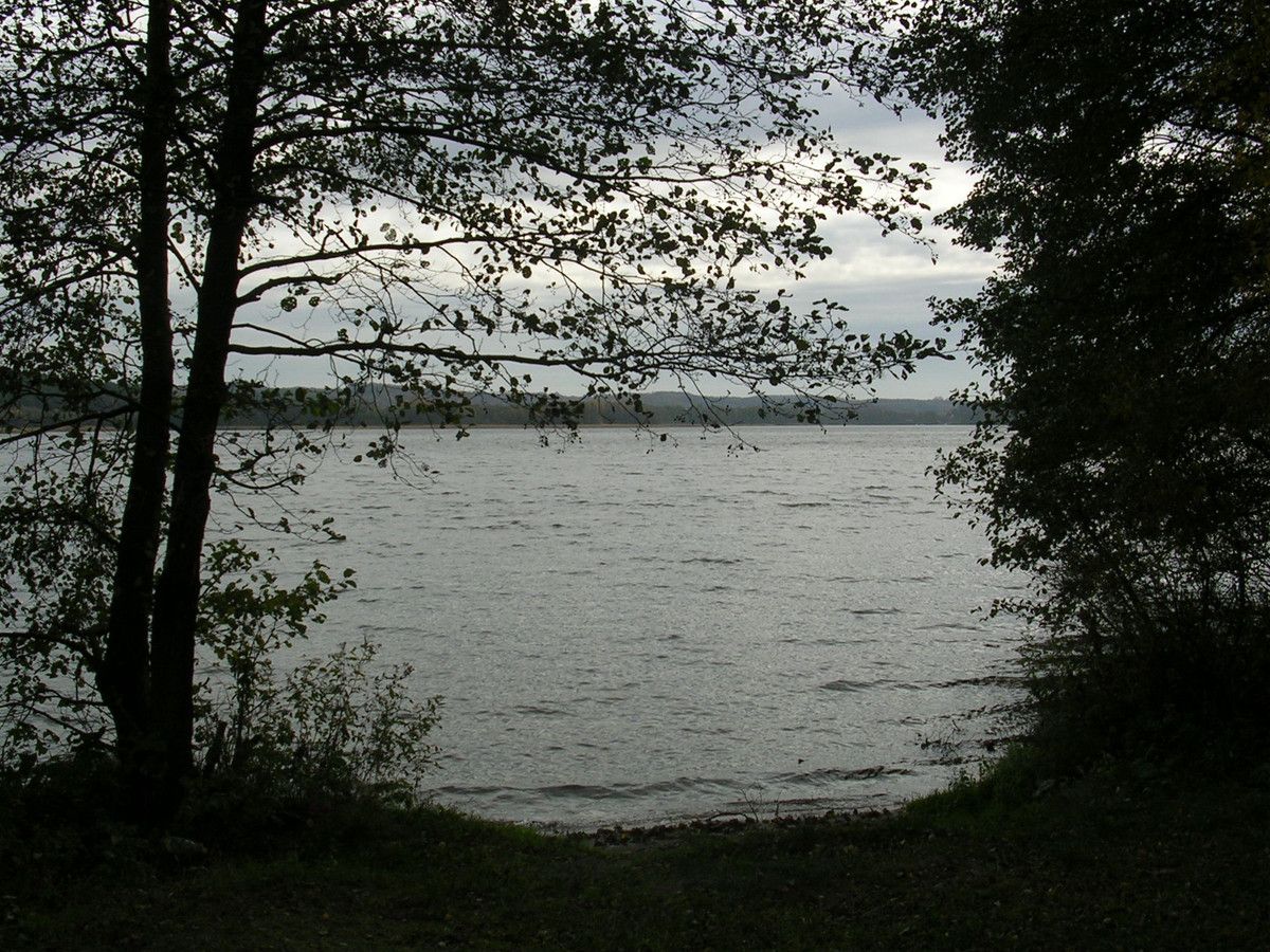 Działka budowlana Borek Kamienny. Zdjęcie 2