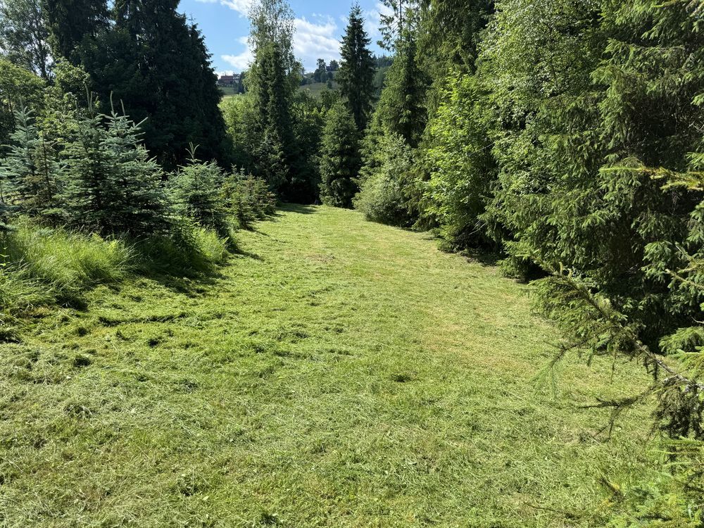 Działka rolna Pyzówka. Zdjęcie 3