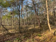 Działka leśna Stara Huta. Zdjęcie 4