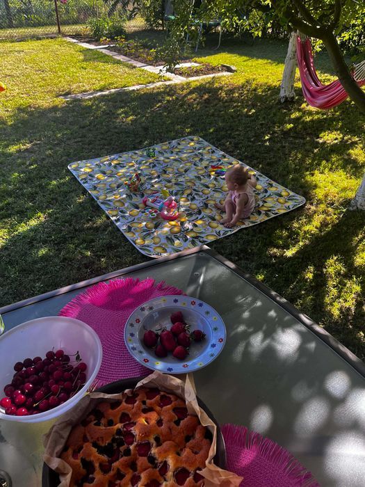 Działka rod Pruszcz Gdański, ul. Powstańców Warszawy. Zdjęcie 7