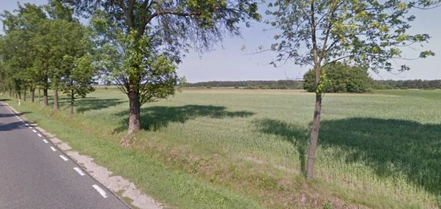 Działka rolna Kowiesy. Zdjęcie 1