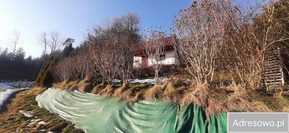 Działka rekreacyjna Witowice Dolne. Zdjęcie 2