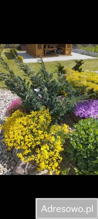 Działka rod Kuków. Zdjęcie 10