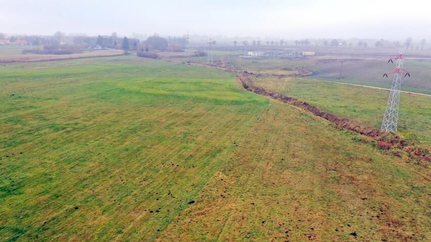 Działka rolna Siedliska. Zdjęcie 10