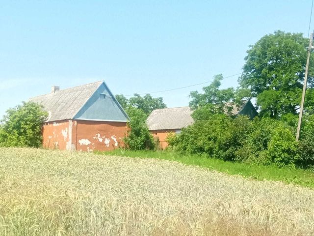 Działka budowlana Torzewo. Zdjęcie 1